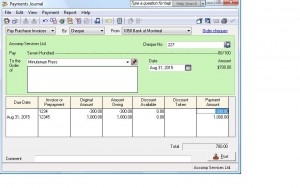 Payment Journal with Credit